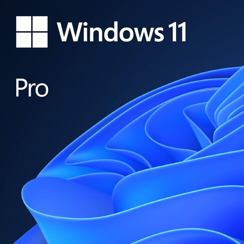 Windows 11 Pro 64-bit OEM DVD