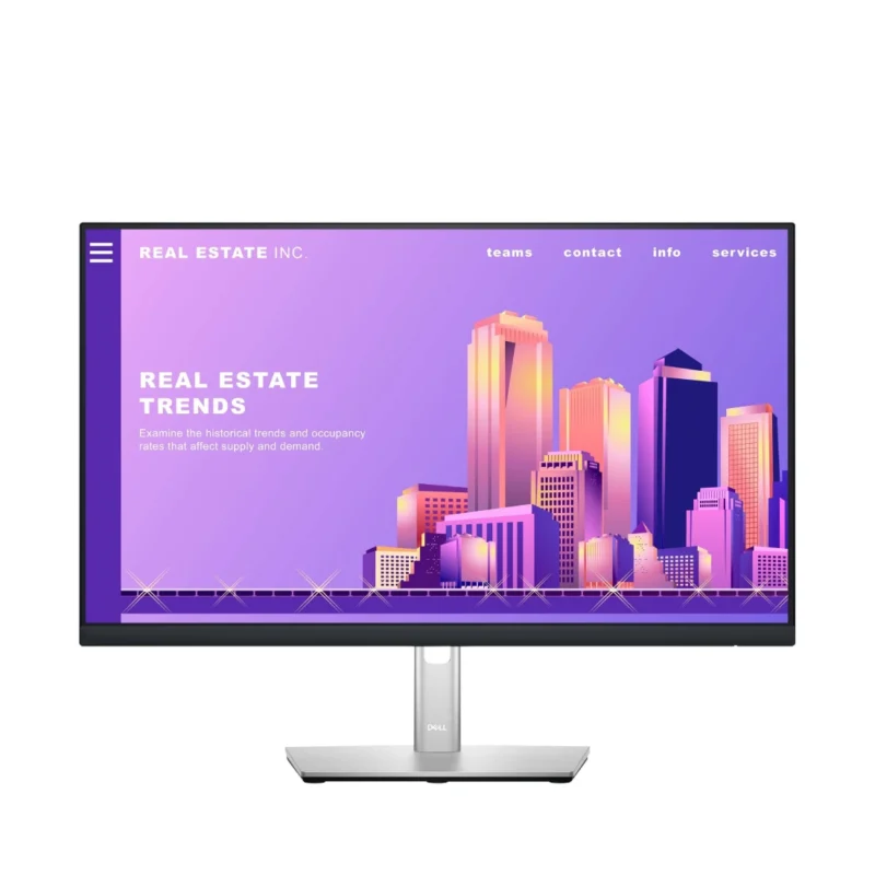 Monitor DELL P2422H
